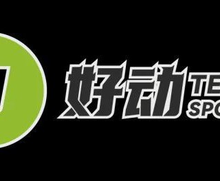 从王欣瑜法网球印事件讲起 为什么罗兰加洛斯还不使用电子线审？